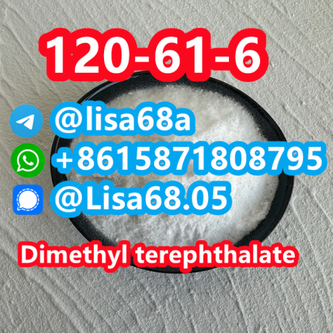 CAS 120-61-6 Dimethyl terephthalate C10H10O4