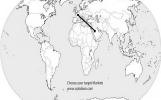 Saudi Arabia – France (Sylodium, export to Saudi Arabia from France)