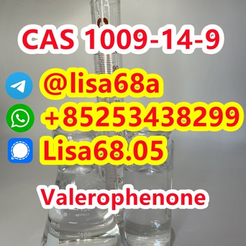 CAS 1009-14-9 Valerophenone C11H14O