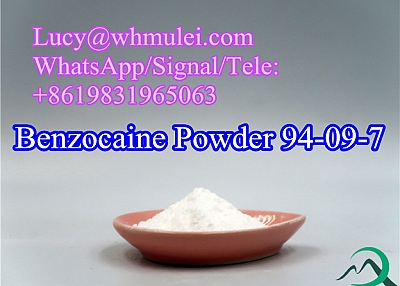 Benzocaine Powder CAS 94-09-7 Local anesthetics China Benzocainum Supplement