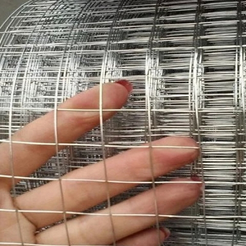 Stainless Steel Welded Wire Mesh