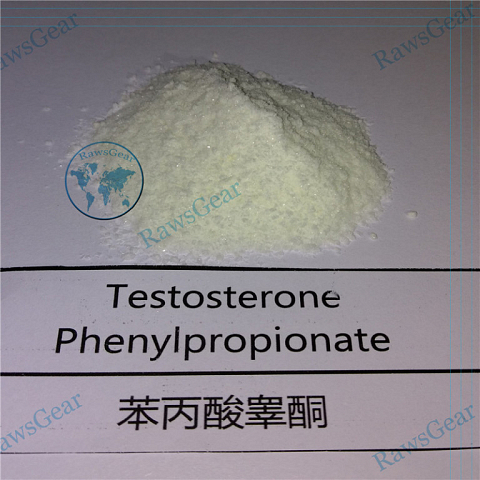 Testosterone phenylpropionate