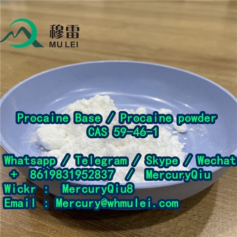 Double clearance custom fast delivery Local Anesthetic Drug Procaine Powder Price 59-46-1