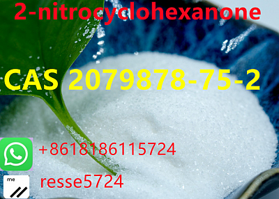 2-(2-Chlorophenyl)-2-nitrocyclohexanone CAS 