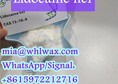 wholesale cas 73-78-9 Lidocaine HCL 73-78-9 lidocaine base from china