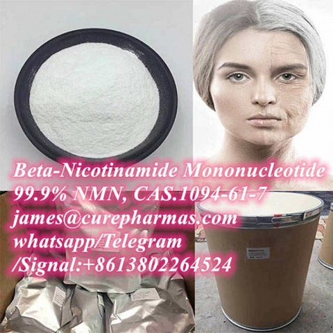 99.9% raw β-Nicotinamide Mononucleotide NMN 1094-61-7 NAD+ NADP NADH powder factory supplier