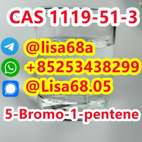 CAS 1119-51-3 5-Bromo-1-pentene C5H9Br