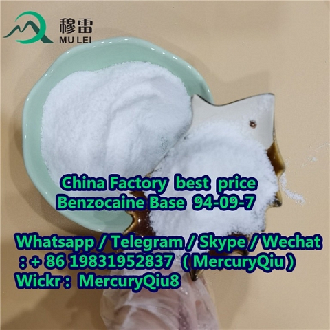 China wholesale price Benzocaine for Painkiller Powder  CAS No. 94-09-7 99% Purity Raw Material Powd