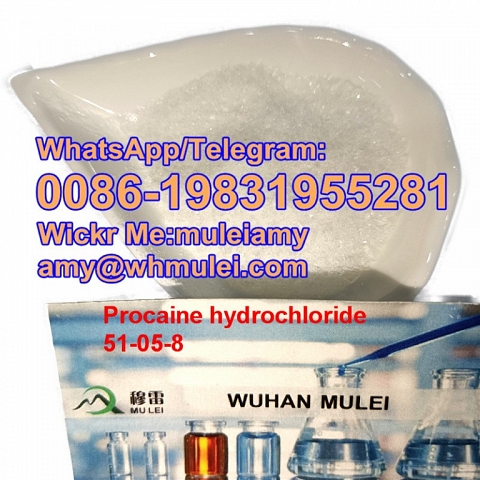 Procaine,procaine hcl Procaine Hydrochloride