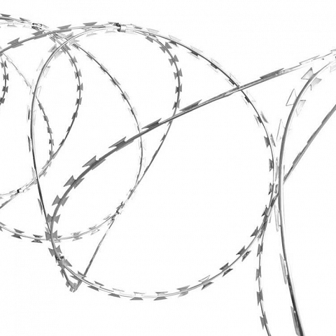 Concertina Wire