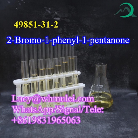 2-Bromo-1-phenyl-1-pentanone CAS 49851-31-2 Factory Direct Supply