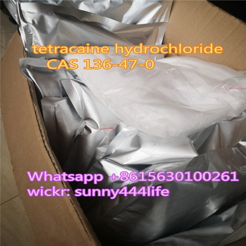  tetracaine hydrochloride CAS 136-47-0