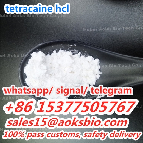 Tetracaine Hydrochloride ,Tetracaine Hcl ,Tetracaine China