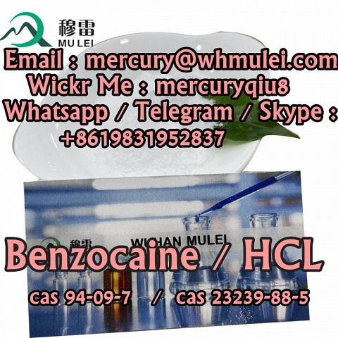  benzocaine purity benzocaine hcl  benzocaine hcl powder  Benzocaine Hydrochloride powder 