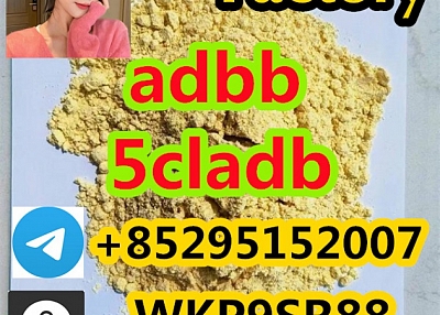 Adbb, 5cladba, 5cladb, Adb-butinaca, Precursor Raw Materials China Supplier