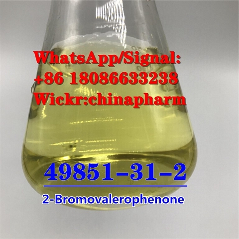 CAS 49851-31-2 2-Bromovalerophenone 1451-82-7 /5337-93-9 China supplier