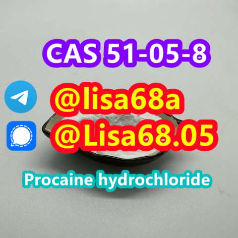 CAS 51-05-8 Procaine hydrochloride C13H21ClN2O2