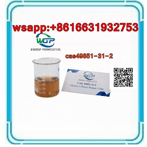 cas49851-31-2 2-BROMO-1-PHENYL-PENTAN-1-ONE new pmk oil Chinese factory supply 