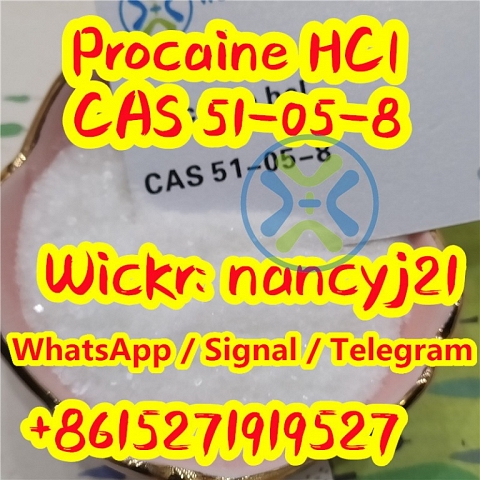 Procaine hydrochloride cas51-05-8 novocain cas59-46-1 wickr me nancyj21