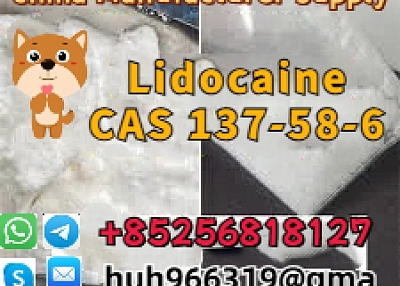 Sell CAS 137-58-6 Lidocaine crystal Door to Door Safe