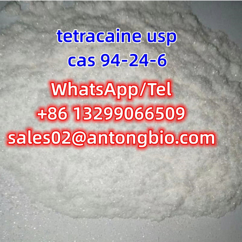 tetracaine usp CAS 94-24-6 C15H24N2O2