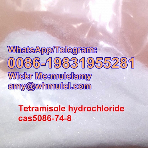 Tetramisole,Tetramisole powder tetramisole hcl