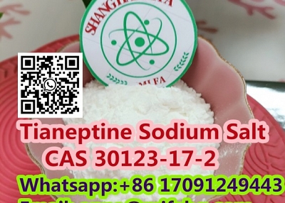 Tianeptine Sodium Salt  cas 30123-17-2