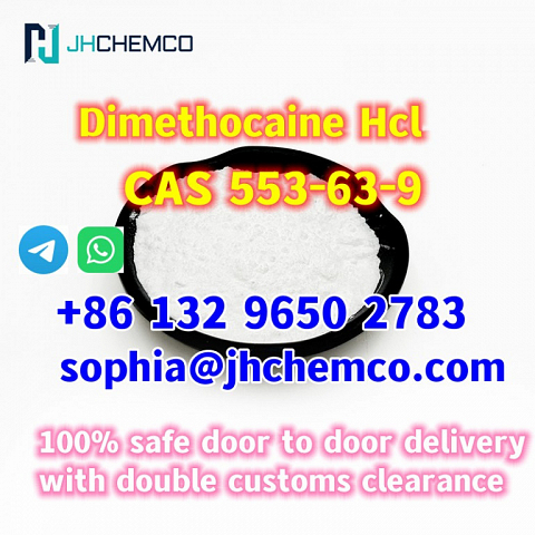 CAS 553-63-9 Dimethocaine Hydrochloride Factory supply high qulity