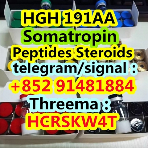 HGH 191AA Somatropin cas 126-01-5