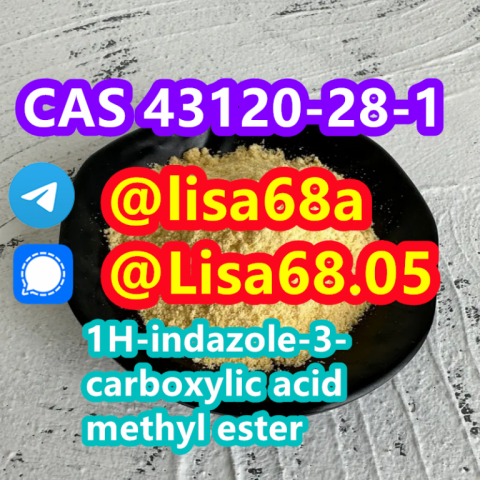 CAS 43120-28-1 1H-indazole-3-carboxylic acid methyl ester C9H8N2O2