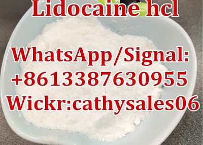 Lidocaine Hydrochloride / Lidocaine HCl CAS 73-78-9 for Pain Killer