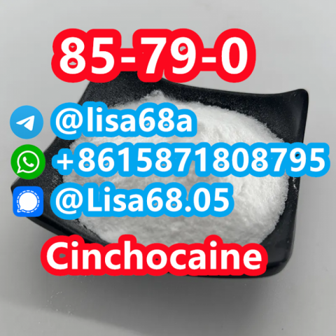 CAS 85-79-0 Cinchocaine C20H29N3O2