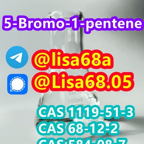 CAS 1119-51-3 5-Bromo-1-pentene C5H9Br