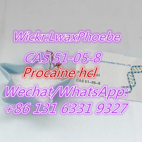 Buy Procaine HCl Powder CAS 51-05-8 Procaine  China Supplier Door to Door Delivery