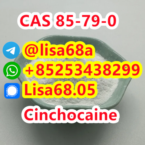 CAS 85-79-0 Cinchocaine C20H29N3O2