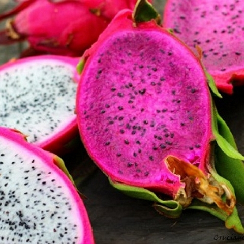 Dragon Fruit