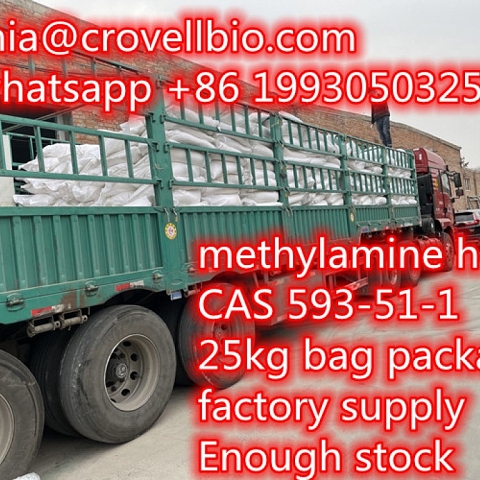 Methylamine hcl CAS 593-51-1 supplier in CHina whatsapp +86 19930503252 