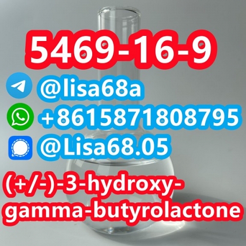 CAS 5469-16-9 (+/-)-3-hydroxy-gamma-butyrolactone C4H6O3