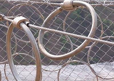 Steel Wire Ring Net