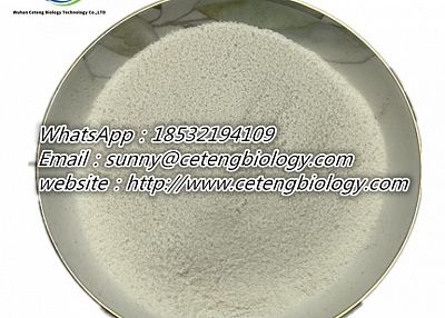 BMK Glycidic Acid (sodium salt) | Cas# 5449-12-7 -ceteng