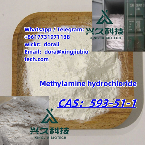 Fast shipping Methylamine hydrochloride Methylamine hcl 593-51-1