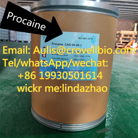 High quality procaine /  CAS No.: 59-46-1 /  buy procaine China supplies / +86 19930501614