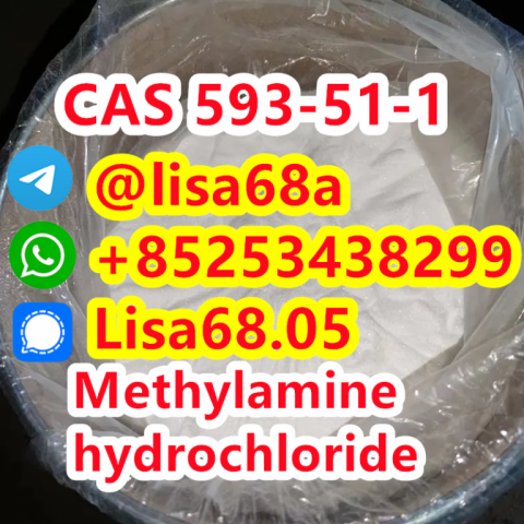 CAS 593-51-1 Methylamine hydrochloride CH5N.ClH