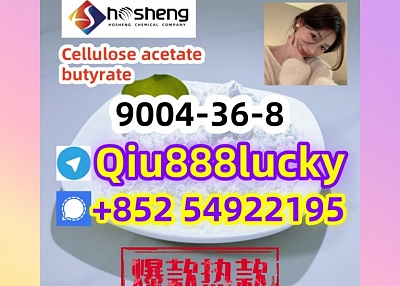 9004-36-8 Cellulose acetate butyrate