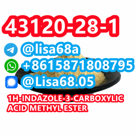 CAS 43120-28-1 1H-indazole-3-carboxylic acid methyl ester C9H8N2O2