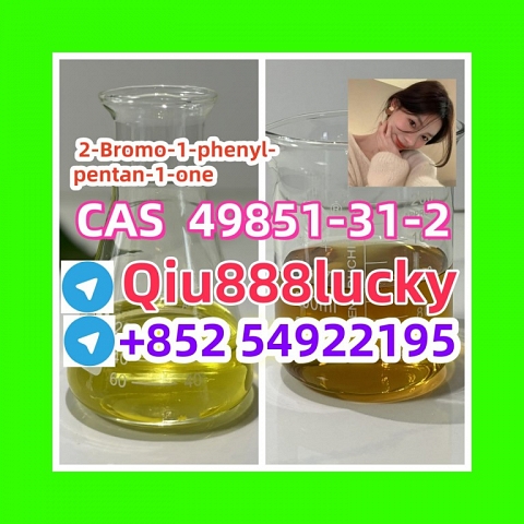 Cas 49851-31-2   2-Bromo-1-phenyl-pentan-1-one