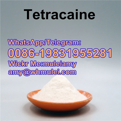 Tetracaine powder Tetracaine,Tetracaine supplier