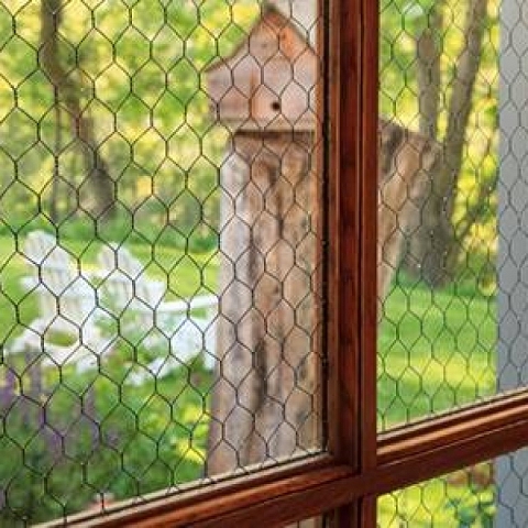 Corrugated or Flat Glass Used Chicken Wire Mesh