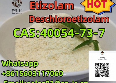 hot selling 40054-73-7 Deschloroetizolam