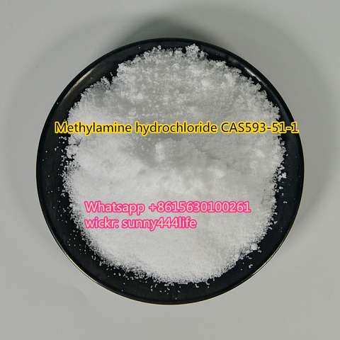 Methylamine hydrochloride CAS593-51-1 with best price 